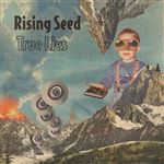 Lp-true lies