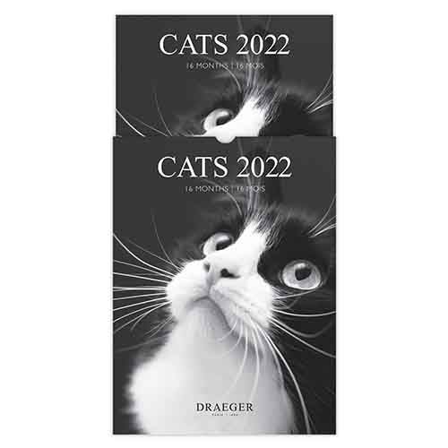 color blanco y negro Calendario de pared diseño de gatos Draeger Paris 2022