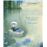 El Viento En Los Sauces