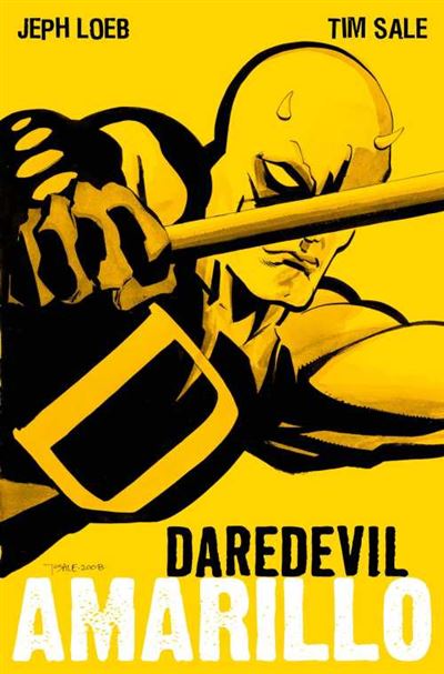 Panini Amarillo 100% Marvel Hc Daredevil.
