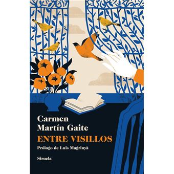 Entre visillos