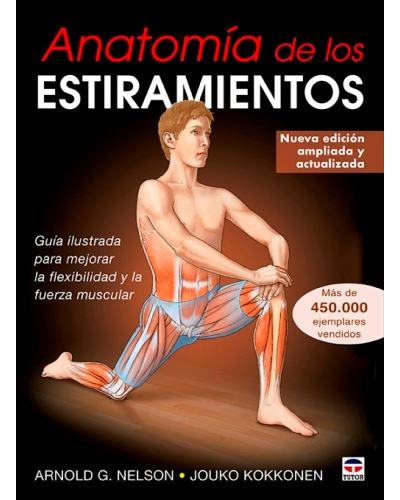 Tutor Anatomía De Los Estiramientos