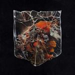 Death & Connection - CD