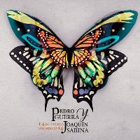14 de ciento volando de 14