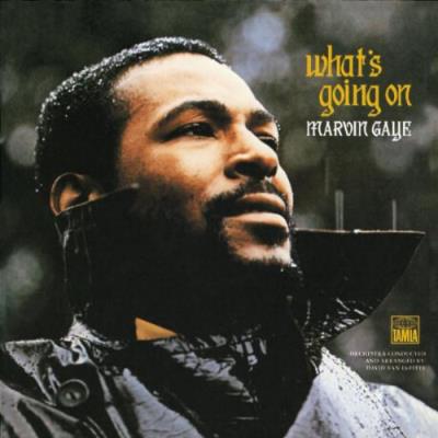 What's Going On - Vinilo