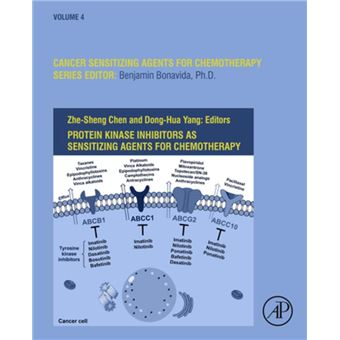Protein Kinase Inhibitors as Sensitizing Agents for Chemotherapy - 1