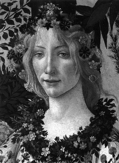 Phaidon Botticelli