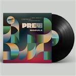 Module - Vinilo + Descarga