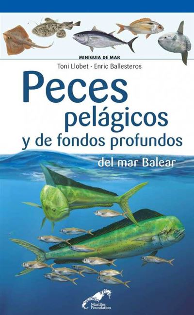 Default Constructor Peces Pelágicos Y De Fondos Profundos Del Mar Balear