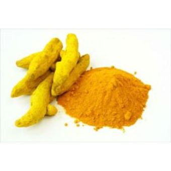 Growing Turmeric For Beginners - 1