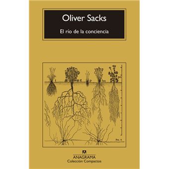 El Rio De La Conciencia