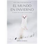 El Mundo En Invierno