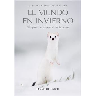 El Mundo En Invierno