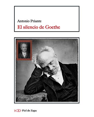 Piel De Zapa El Silencio De Goethe