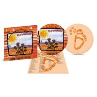 Rock transgresivo - Vinilo color Edición limitada