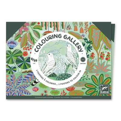 Caja para colorear de pájaros nature et decouvertes