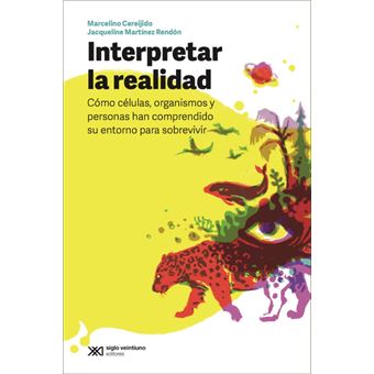 Interpretar la realidad - 1