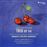 Brahms-Trio Op 114 - CD