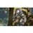 Predator: Hunting Grounds PS4_1