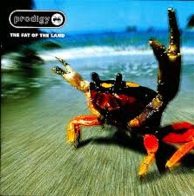 Default Constructor The Fat Of The Land - Cd - The Prodigy