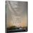 La chica salvaje - DVD