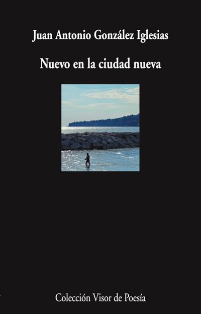 Visor Libros, S.l. Nuevo En La Ciudad Nueva - Juan Antonio González Iglesias (Autor)