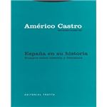 . ensayos sobre historia y literatu