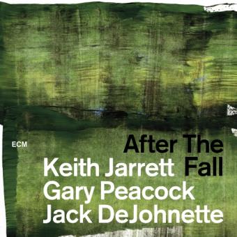 After the fall (2 CD)