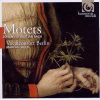 Motetes