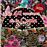 Las 40 canciones de la copla (2cd)