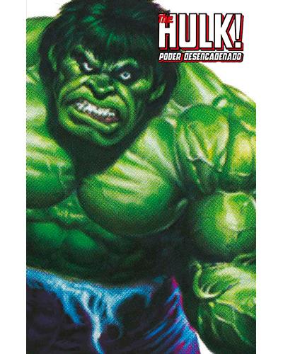 Panini Verde The Hulk! 2 - Varios Autores (Autor)