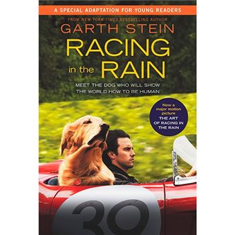 The art of racing in the rain-film