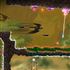 Evergate Nintendo Switch_1