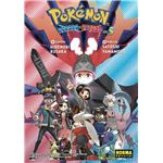 Pokemon Espada Y Escudo 05