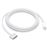 Cable de carga portátil Apple USB-C a Magsafe 3 2m Plata