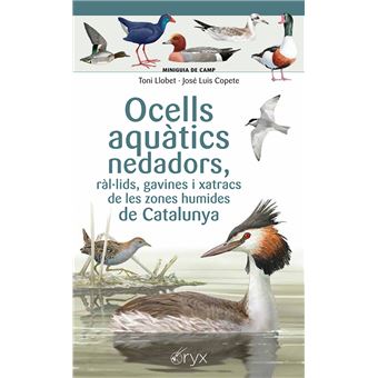 Ocells Aquatics Nedadors Ral.Lids, Gavines I Xatracs De Les