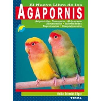 Agapornis - 1
