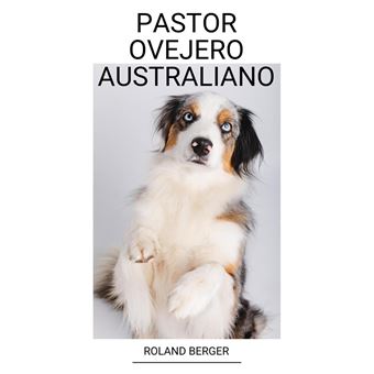 Pastor Ovejero Australiano - 1