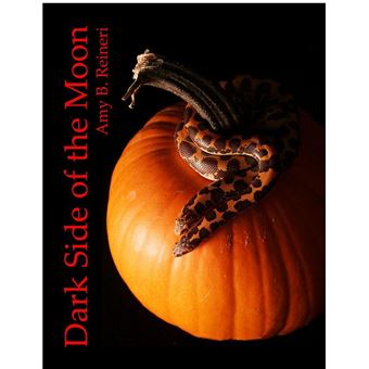 Dark Side of the Moon - 1