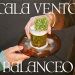 Balanceo - Vinilo