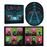 Live at w:o:a (8cd+dvd+blr)