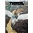 Thorgal. Edición Integral 4