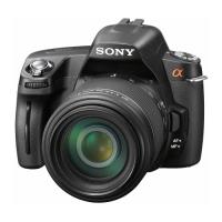 Sony A290 + 18-55 mm Cámara Digital Réflex