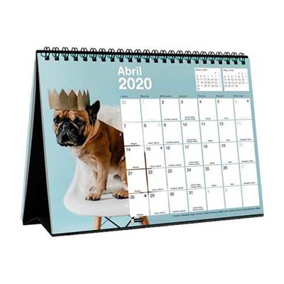 Calendario 2020 sobremesa Miquelrius A5 Perros & gatos