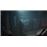 Vampire : The Masquerade - Bloodlines 2 - First Blood Edition - XBOX One_2