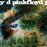 A saucerful of secrets