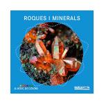 Roques i minerals -el bosc de color