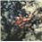 Obscured By Clouds - CD