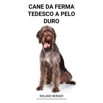 Cane da ferma tedesco a pelo duro - 1