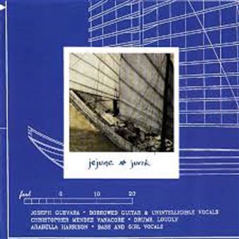 Junk - Vinilo